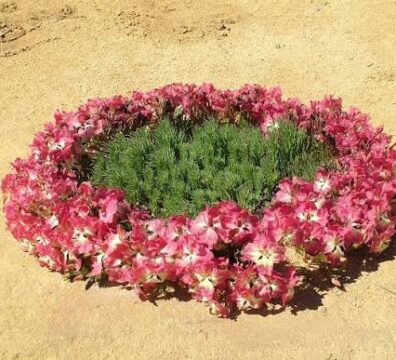 Wreath Flowers